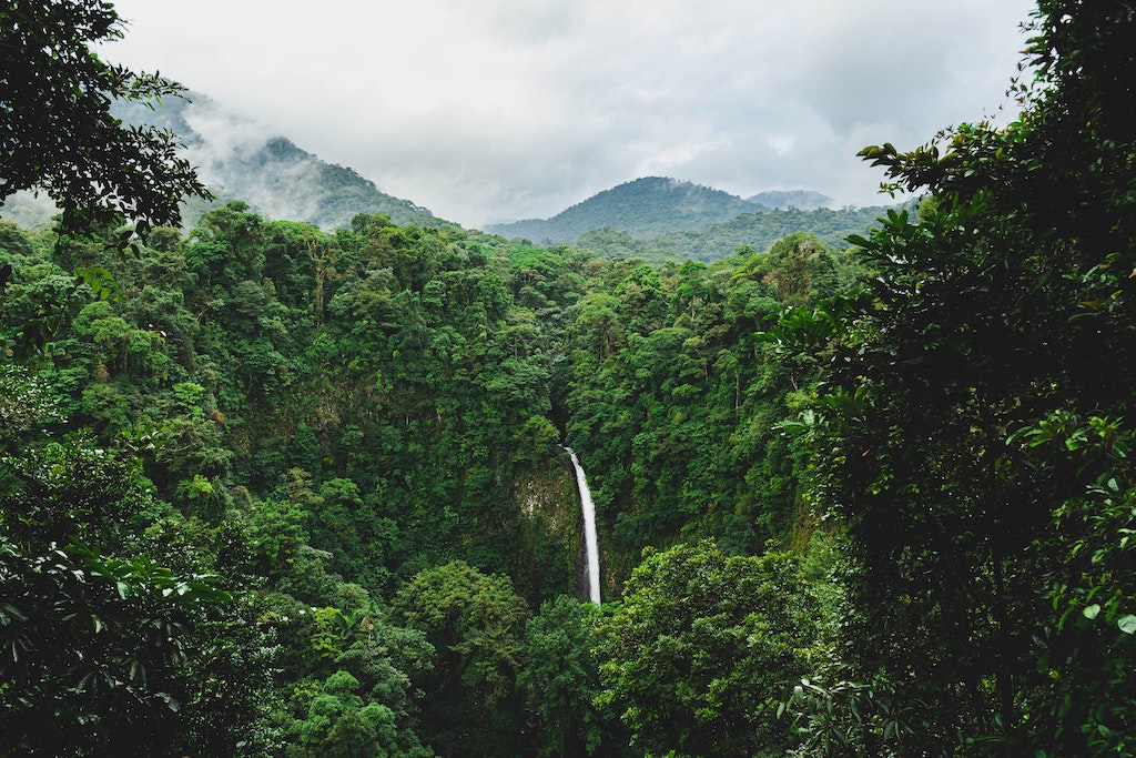 Rainforest and waterfall in Costa Rica