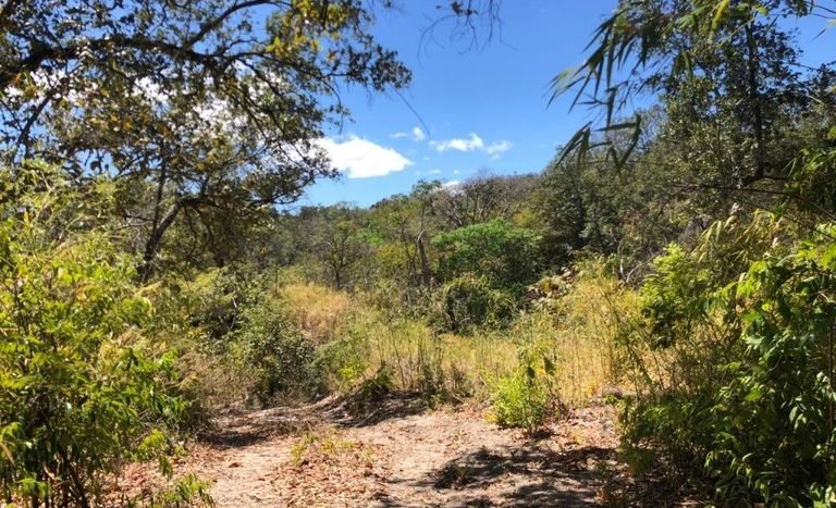 Mountain Real Estate Farmland for sale near Liberia - LL1700094 (18).jpg