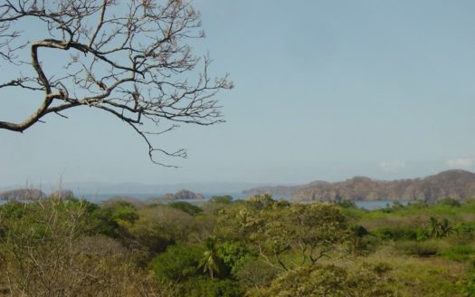 Coco Bay Estates Amenities