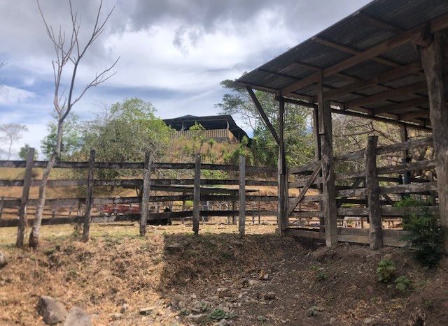 Farm in Guacimal - Puntarenas - LL2100049 (4).jpg