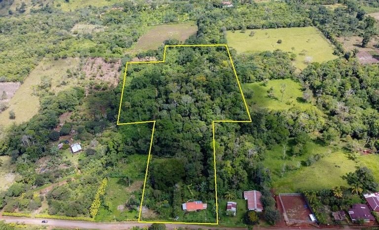 venta-sale-finca-farm-casa-house-water-source-naciente-bosque-forest-crops-sembrados-wood-maderable-conservacion-conservation (29).jpg