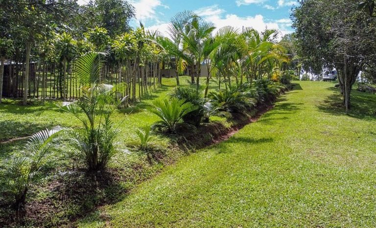 venta-sale-finca-farm-casa-house-water-source-naciente-bosque-forest-crops-sembrados-wood-maderable-conservacion-conservation (57).jpg