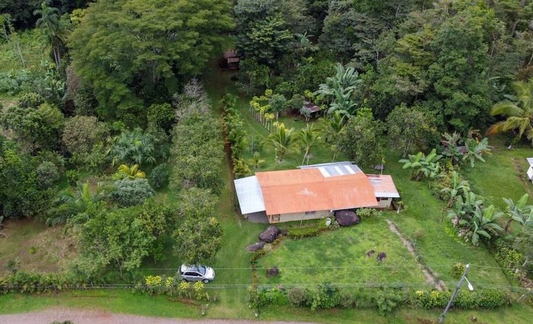 venta-sale-finca-farm-casa-house-water-source-naciente-bosque-forest-crops-sembrados-wood-maderable-conservacion-conservation (77).jpg