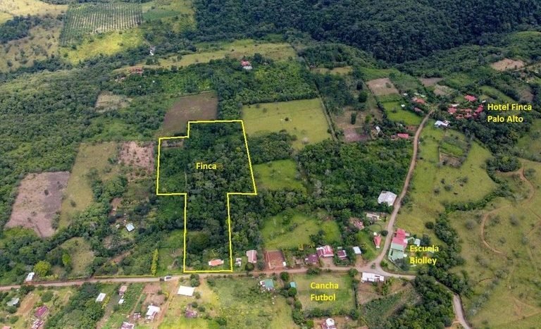 venta-sale-finca-farm-casa-house-water-source-naciente-bosque-forest-crops-sembrados-wood-maderable-conservacion-conservation (24).jpg