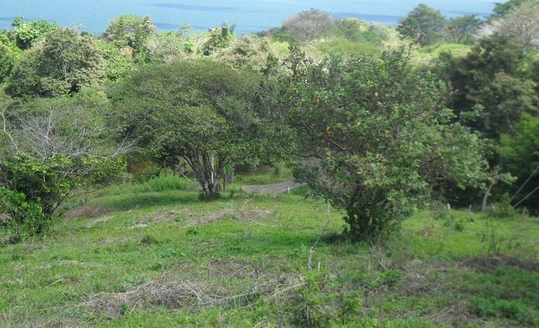 View of Volcano