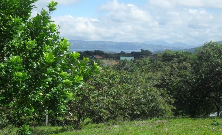 Lake Volcano Arenal view.jpeg