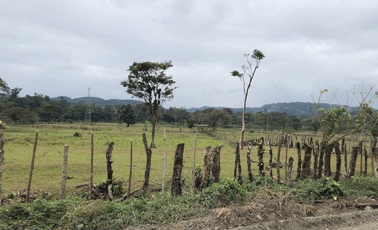 Finca en Rio Hondo