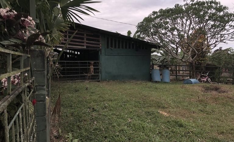 Finca en Rio Hondo