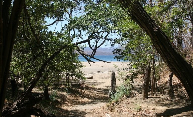 venta-alquiler-propiedad-lote-terreno-finca-junquillal-costa-rica-playa-montana-montaña-vista-al-mar-de-kw-15 ( (8).JPG