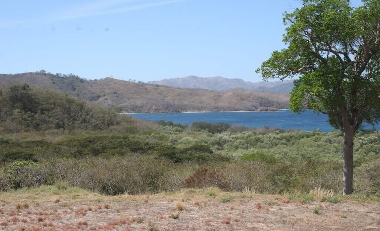 venta-alquiler-propiedad-lote-terreno-finca-junquillal-costa-rica-playa-montana-montaña-vista-al-mar-de-kw-15 ( (14).JPG