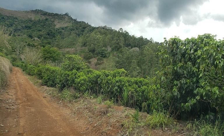 finca-terreno-lote-cafe-naranjo-alajuela-san-jose-mis-costa-rica-properties-paule-ortiz-miguel-fiatt-_120450.jpg