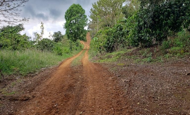 finca-terreno-lote-cafe-naranjo-alajuela-san-jose-mis-costa-rica-properties-paule-ortiz-miguel-fiatt- 46.png