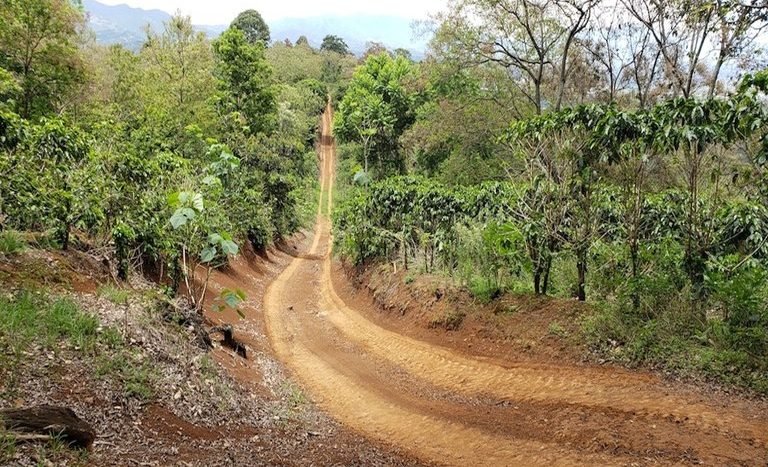 finca-terreno-lote-cafe-naranjo-alajuela-san-jose-mis-costa-rica-properties-paule-ortiz-miguel-fiatt-_124546.jpg