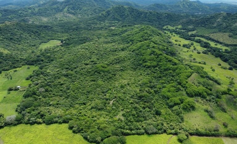 vende-venta-for-sale-farm-land-finca-belen-guanacaste-costa-rica-pastures-forest-water-spring-stream-beach (32).JPG