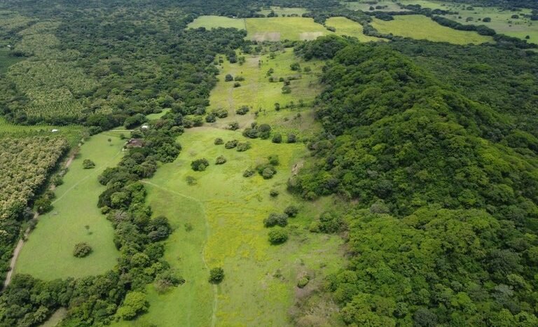 vende-venta-for-sale-farm-land-finca-belen-guanacaste-costa-rica-pastures-forest-water-spring-stream-beach (ground) (9).jpeg