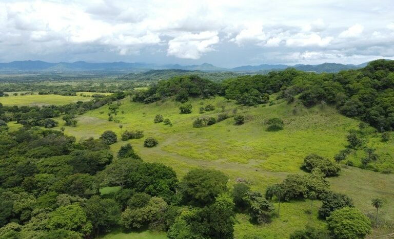 vende-venta-for-sale-farm-land-finca-belen-guanacaste-costa-rica-pastures-forest-water-spring-stream-beach (6).JPG