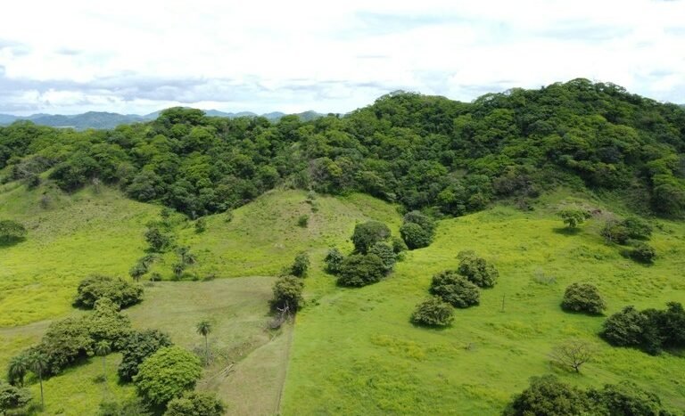 vende-venta-for-sale-farm-land-finca-belen-guanacaste-costa-rica-pastures-forest-water-spring-stream-beach (ground) (15).jpeg