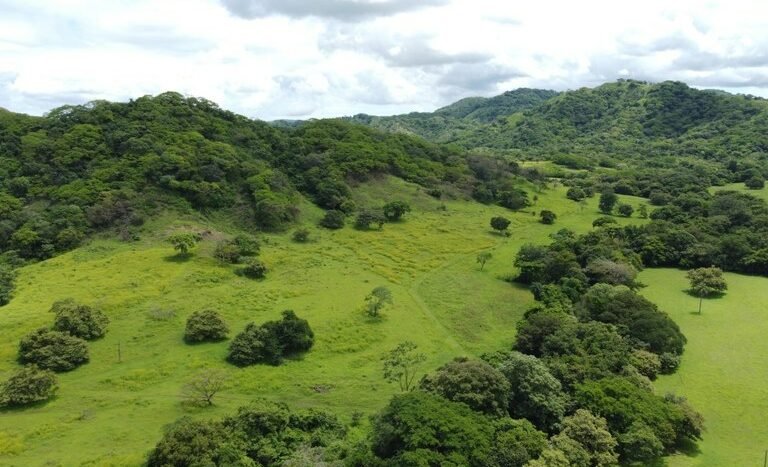 vende-venta-for-sale-farm-land-finca-belen-guanacaste-costa-rica-pastures-forest-water-spring-stream-beach (ground) (10).jpeg