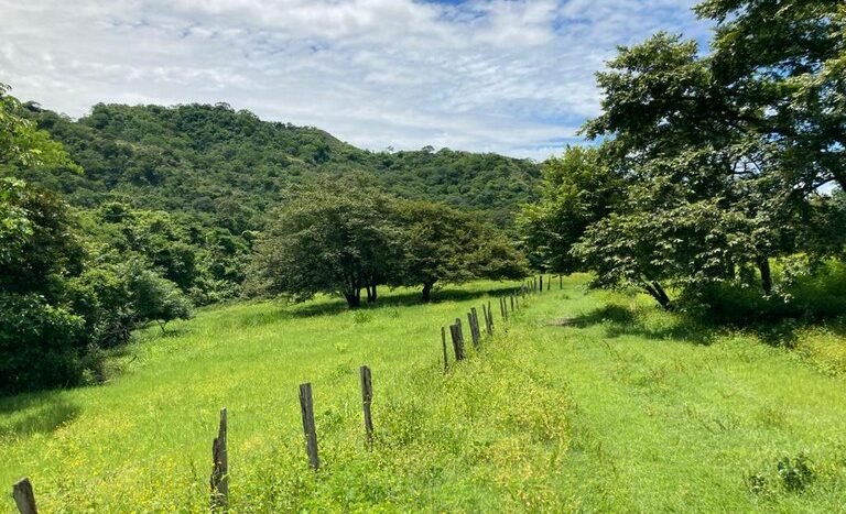 vende-venta-for-sale-farm-land-finca-belen-guanacaste-costa-rica-pastures-forest-water-spring-stream-beach (1).JPG