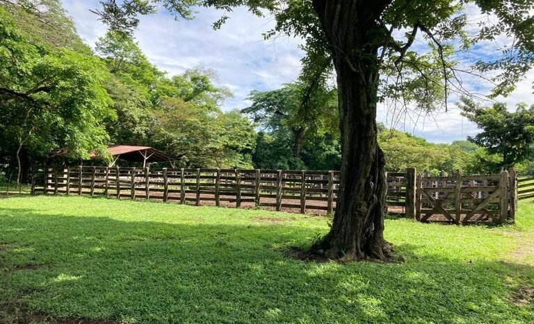 vende-venta-for-sale-farm-land-finca-belen-guanacaste-costa-rica-pastures-forest-water-spring-stream-beach (10).JPG