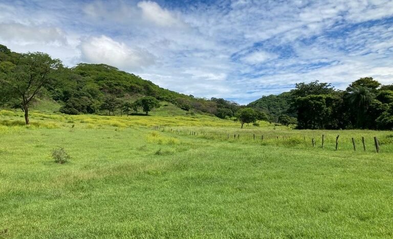 vende-venta-for-sale-farm-land-finca-belen-guanacaste-costa-rica-pastures-forest-water-spring-stream-beach (ground) (8).jpeg