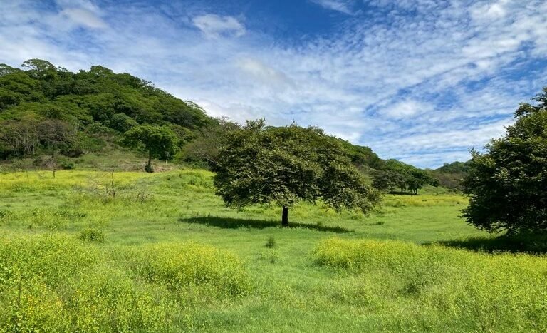 vende-venta-for-sale-farm-land-finca-belen-guanacaste-costa-rica-pastures-forest-water-spring-stream-beach (13).JPG