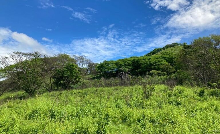 vende-venta-for-sale-farm-land-finca-belen-guanacaste-costa-rica-pastures-forest-water-spring-stream-beach (25).JPG