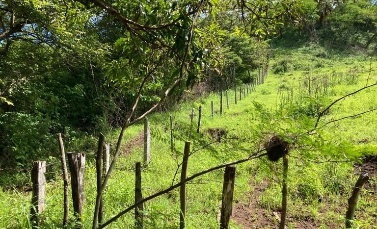 vende-venta-for-sale-farm-land-finca-belen-guanacaste-costa-rica-pastures-forest-water-spring-stream-beach (20).JPG