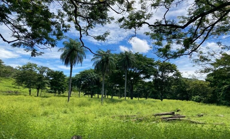 vende-venta-for-sale-farm-land-finca-belen-guanacaste-costa-rica-pastures-forest-water-spring-stream-beach (ground) (2).jpeg