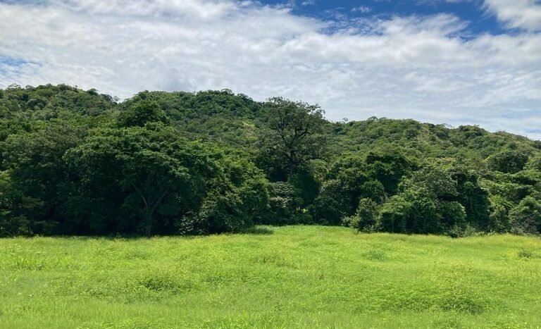 vende-venta-for-sale-farm-land-finca-belen-guanacaste-costa-rica-pastures-forest-water-spring-stream-beach (ground) (12).jpeg