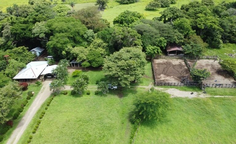 vende-venta-for-sale-farm-land-finca-belen-guanacaste-costa-rica-pastures-forest-water-spring-stream-beach (9).JPG