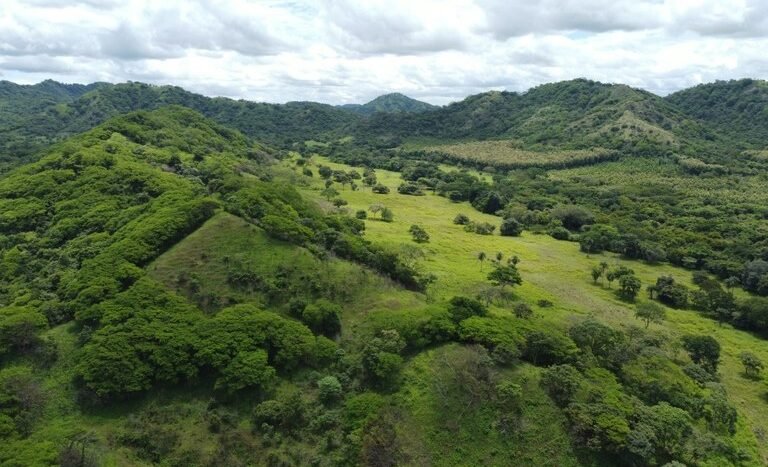 vende-venta-for-sale-farm-land-finca-belen-guanacaste-costa-rica-pastures-forest-water-spring-stream-beach (23).JPG