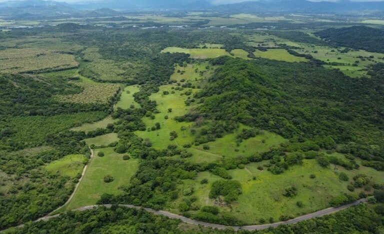 vende-venta-for-sale-farm-land-finca-belen-guanacaste-costa-rica-pastures-forest-water-spring-stream-beach (ground) (13).jpeg