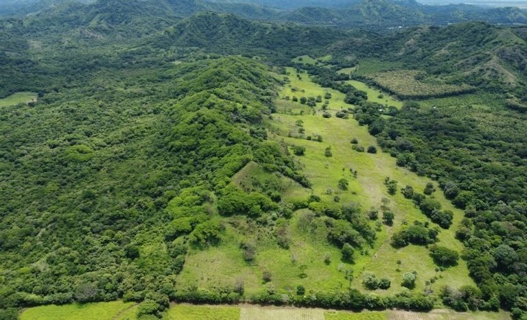 vende-venta-for-sale-farm-land-finca-belen-guanacaste-costa-rica-pastures-forest-water-spring-stream-beach (ground) (6).jpeg