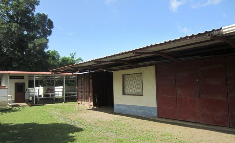 GARDEN OF THE HOUSE-HOUSE FOR SALE-LIBERIA-REAL STATE.JPG