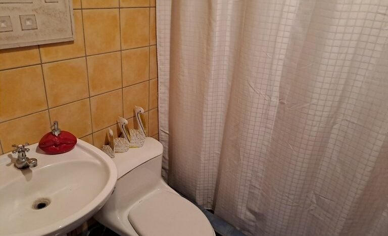 20230118_120510.jpg
