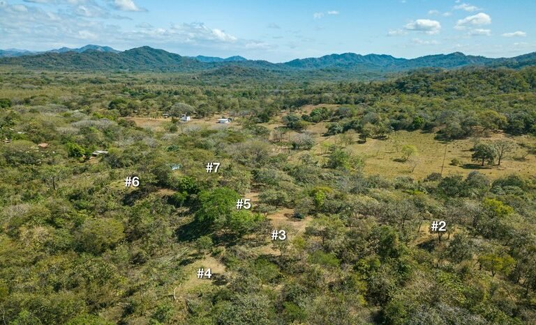 Playa_Avellanas_Ocean_View_Parcel_Drone_05_numbers_small.jpg