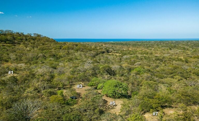 Playa_Avellanas_Ocean_View_Parcel_Drone_13_numbers_small.jpg