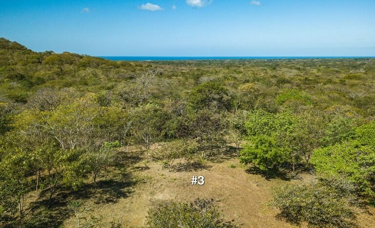 Playa_Avellanas_Ocean_View_Parcel_Drone_03_numbers_small.jpg