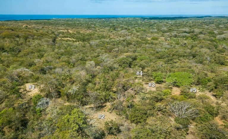 Playa_Avellanas_Ocean_View_Parcel_Drone_14_numbers_small.jpg