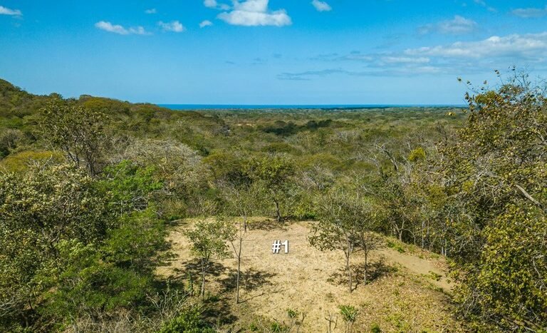 Playa_Avellanas_Ocean_View_Parcel_Drone_01_borders_small.jpg