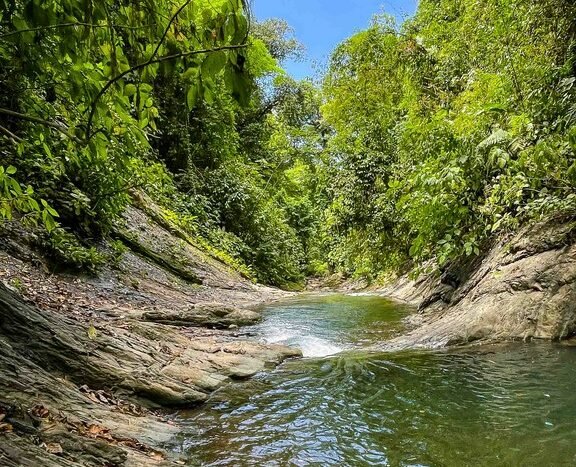 finca-palo-grande-manuel-antonio-5.jpg