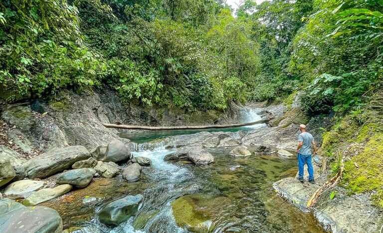 finca-palo-grande-manuel-antonio-2.jpg