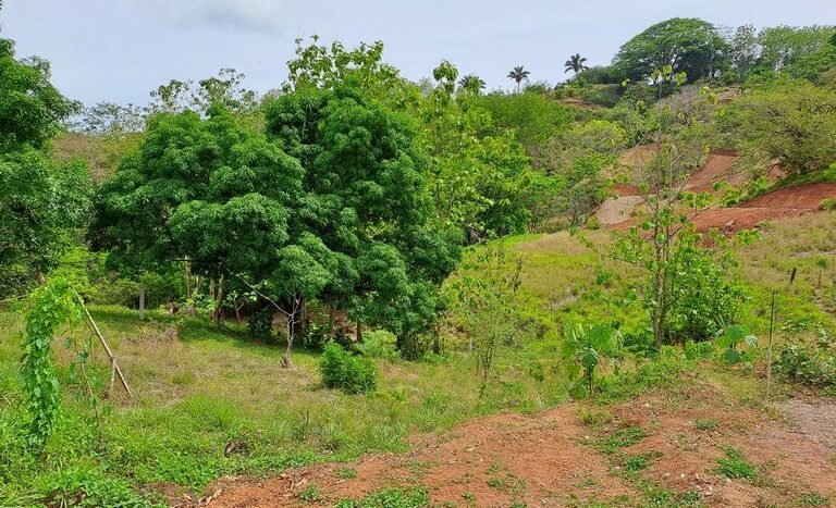 3 - Samara Home Guanacaste Costa Rica.jpg