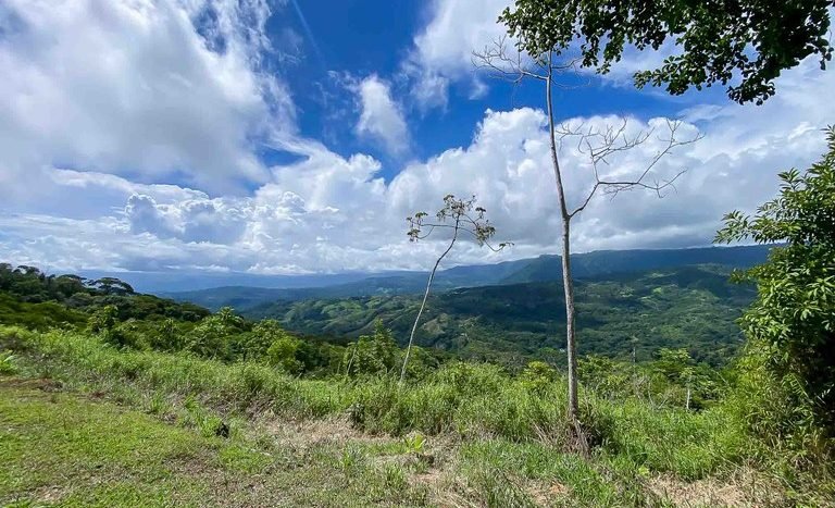 dramatic-valley-mountain-views-costa-verde-estates-8.jpg