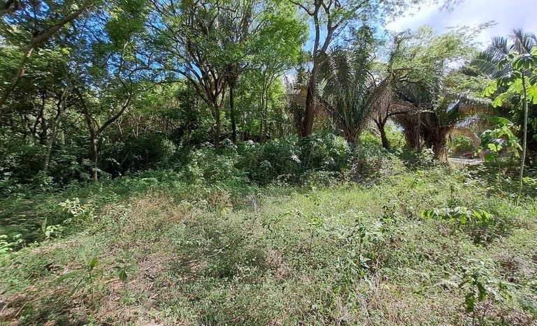 3- Playa Samara Building Lot Guanacaste Costa Rica.jpg