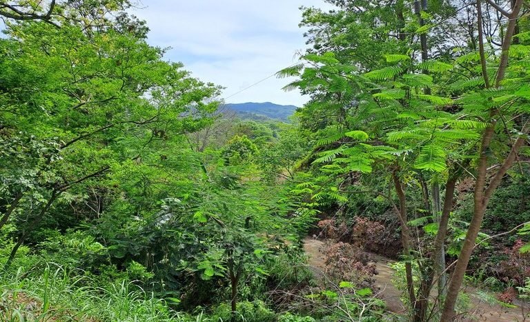 6- Building Lot for Sale - Mason a Vendre in Playa Samara Guanacaste Costa Rica.jpg