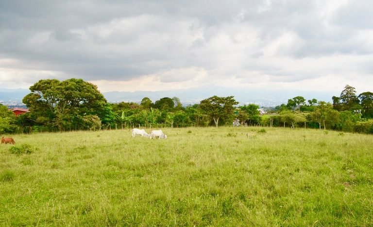 Terreno en venta en San Isidro 005.jpg