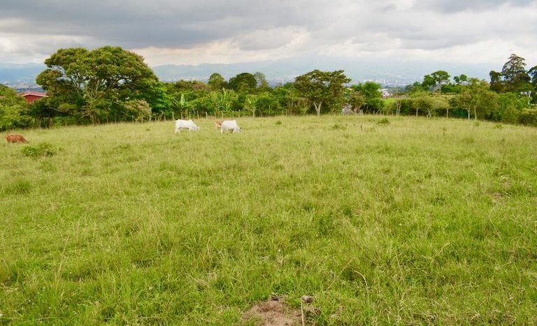 Terreno en venta en San Isidro 008.jpg