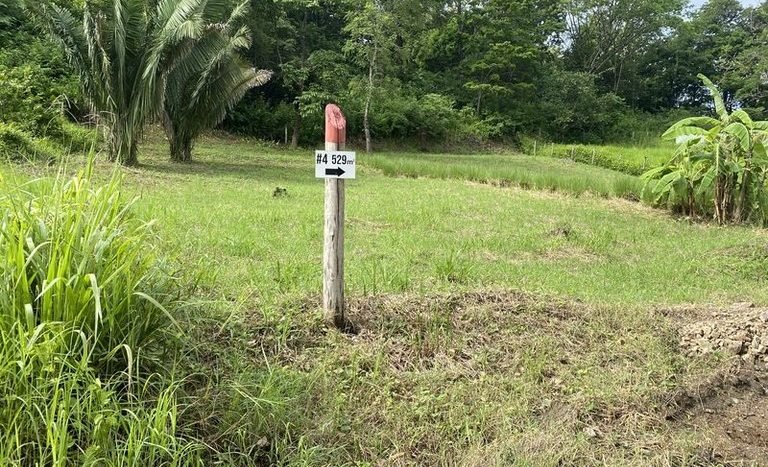 7- Building Lots For Sale - Maison a Vendre - Playa Samara Guanacaste Costa Rica.JPG